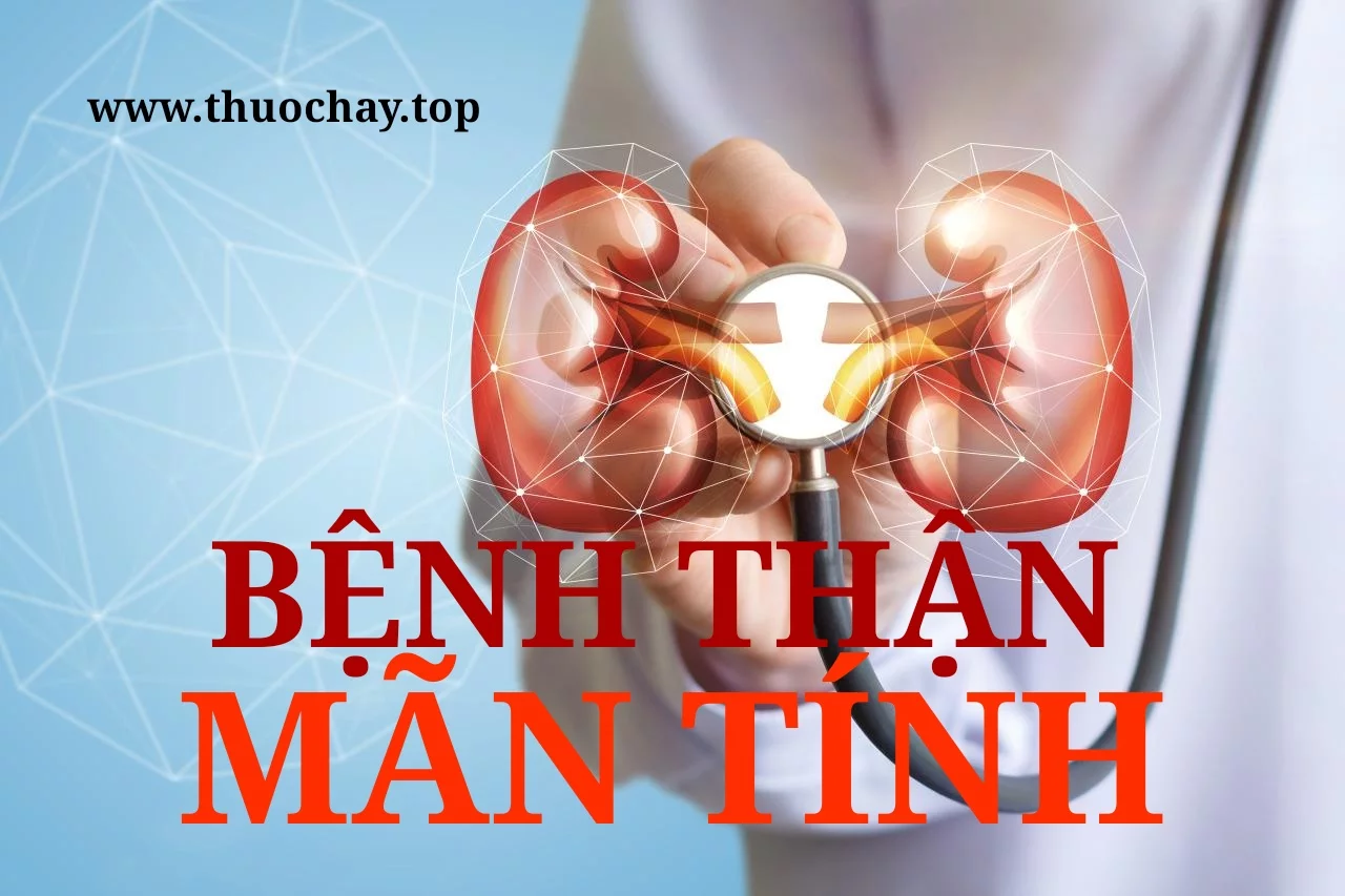 Bệnh thận mãn tính