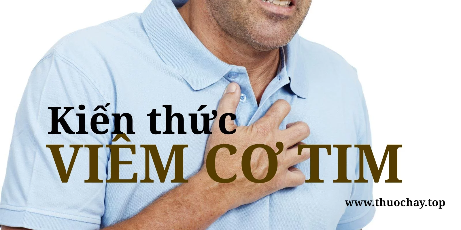viêm cơ tim