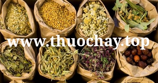 Thuốc Hay