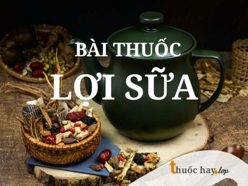 Bài thuốc lợi sữa