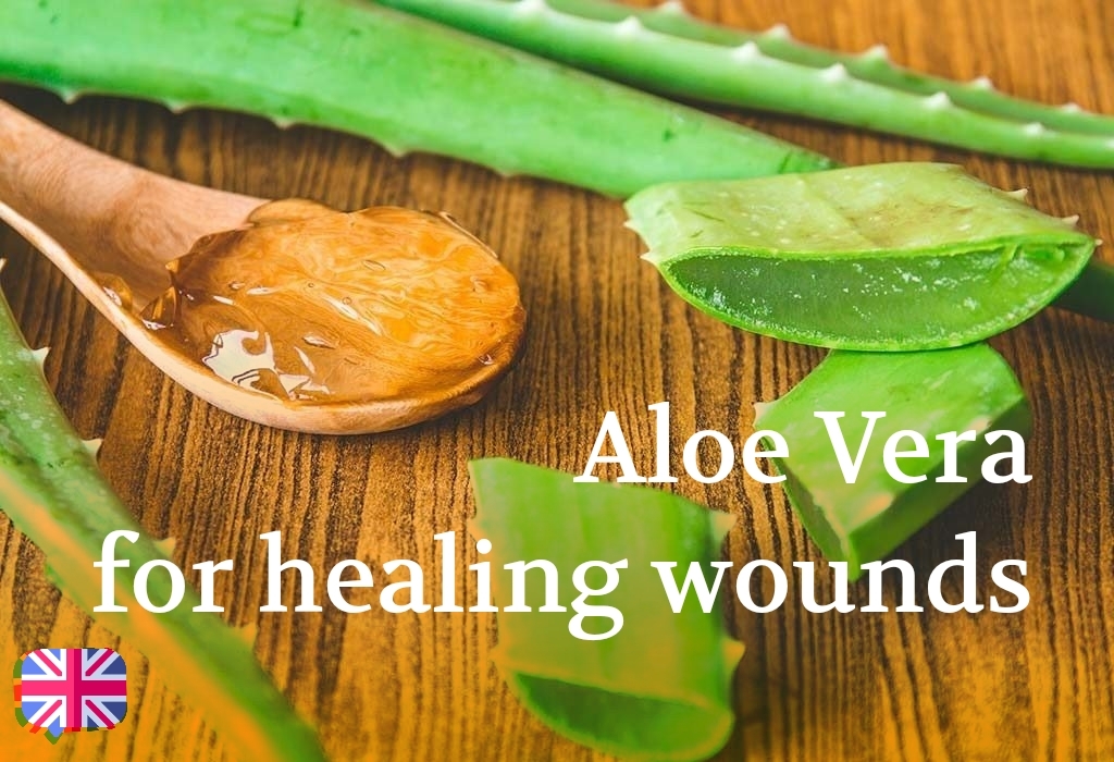 Aloe Vera for healing wounds