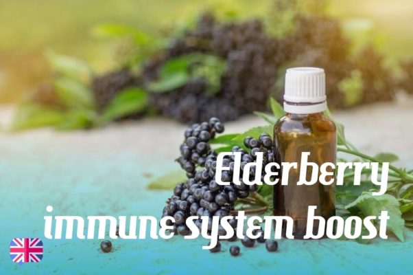 Elderberry immune system boost