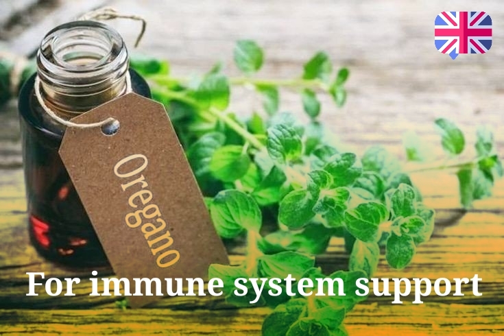 Oregano for immune system support