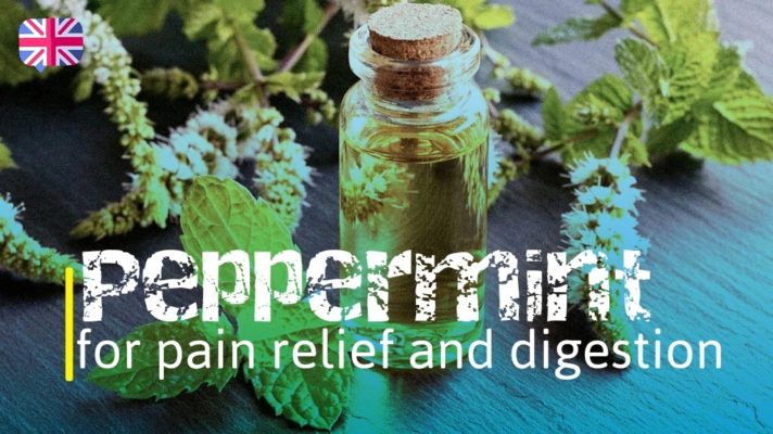 Peppermint for pain relief and digestion