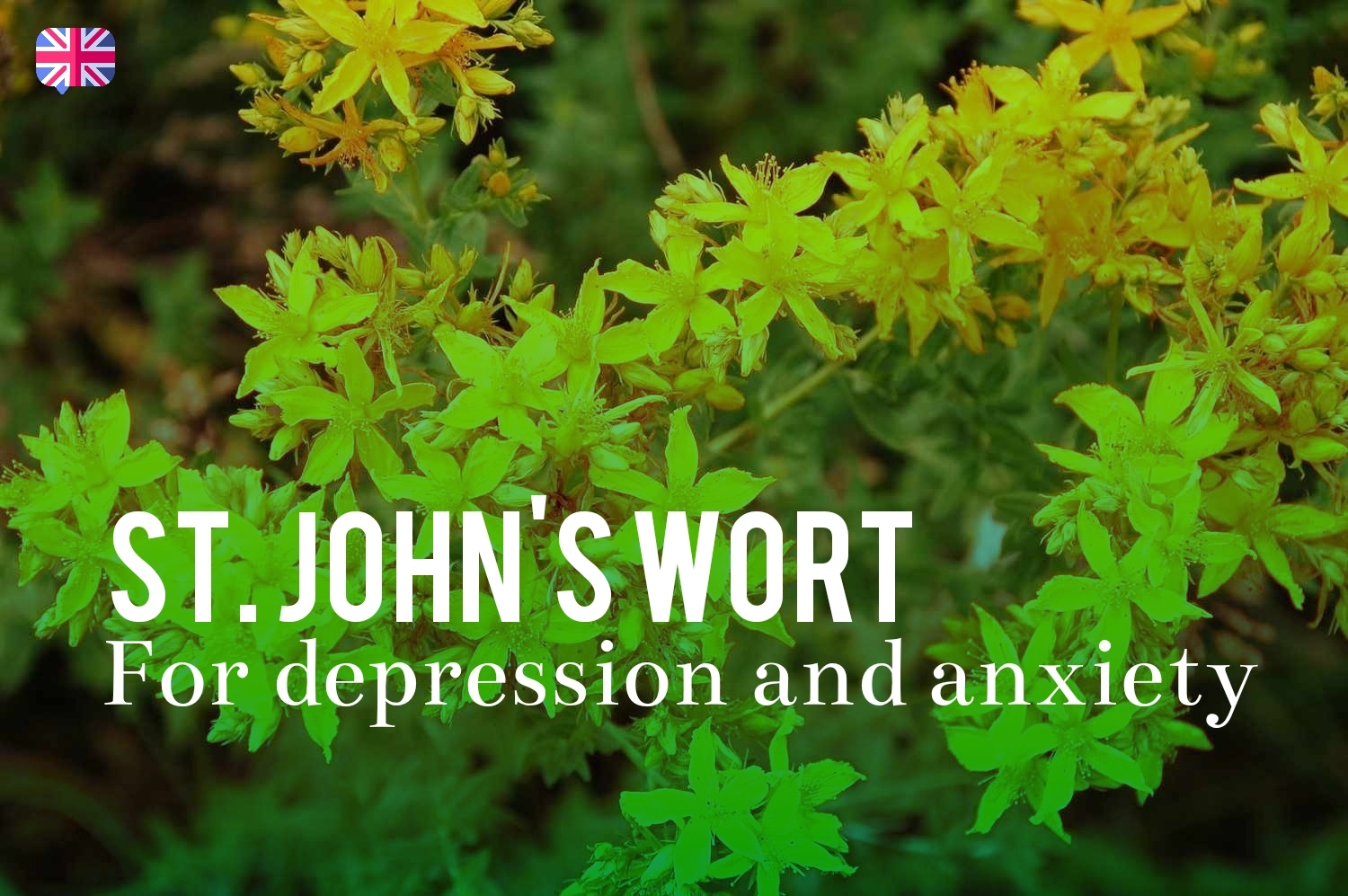 St. John's Wort for depression and anxiety