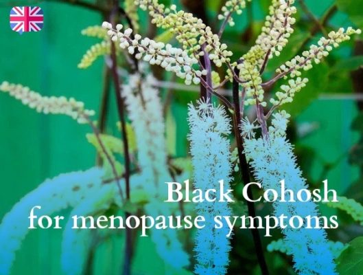 Black Cohosh for menopause symptoms