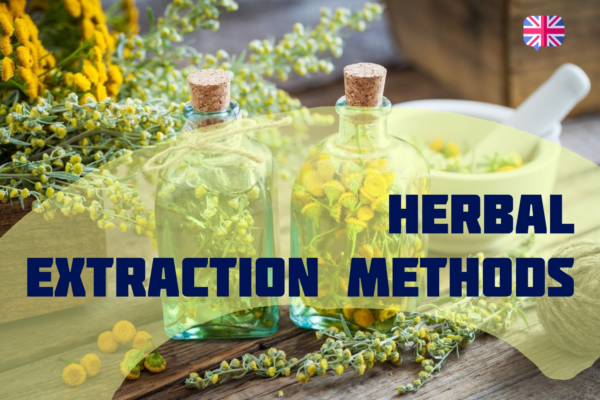Herbal Extraction Methods