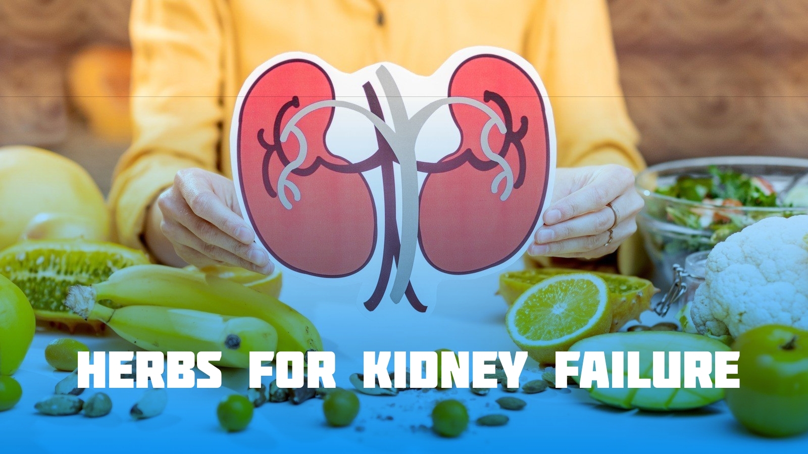 Herbs for kidney failure