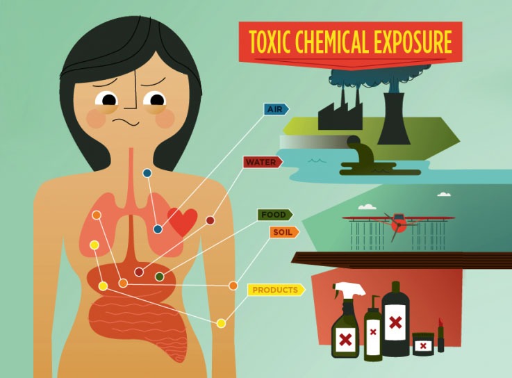 Impact of Chemicals on Human Health