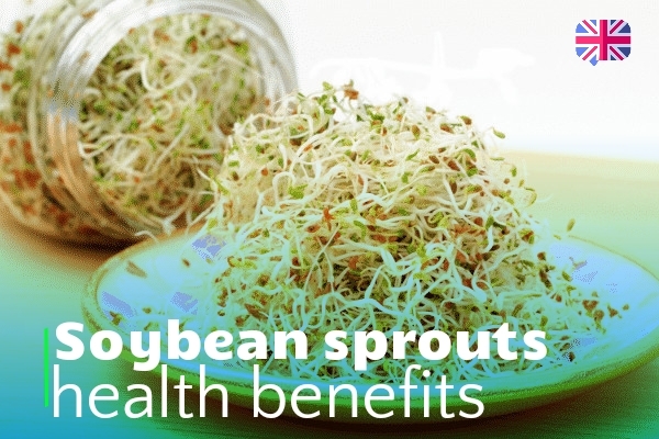 Soybean sprouts health benefits