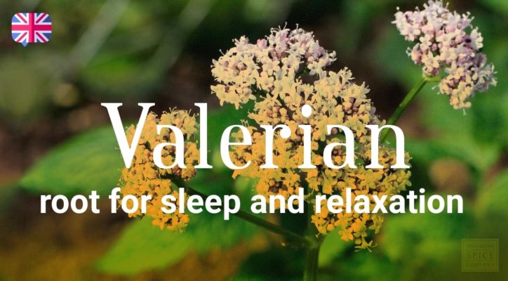 Valerian root for sleep and relaxation