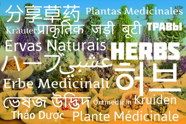 分享草药 - Herbs - प्राकृतिक जड़ी बूटी - Plantas Medicinales - Kräuter - Травы - Erbe Medicinali - 허브 - ハーブ - Ervas Naturais - عشبي - Kruiden - ভেষজ উদ্ভিদ